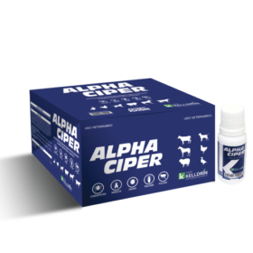 Alpha Ciper