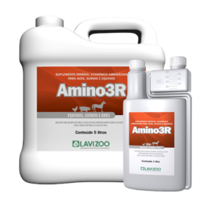 amino3R_5L