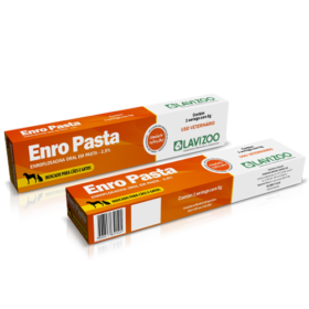 embalagem_3d_enropasta_fechado