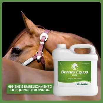 Shampoo Banhex Equus 5l Coco