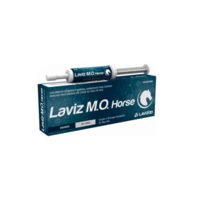 laviz-m-o-horse-lavizoo-dclassevet